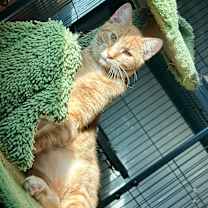 Thumbnail photo of Poppy (bonded with Creek) #3