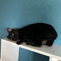 Thumbnail photo of Jaxton #4