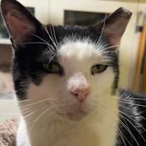 Thumbnail photo of Tofu #1