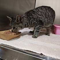 Thumbnail photo of BO #2