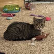 Thumbnail photo of Thug S. #4