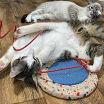 Thumbnail photo of Sticky Note #2