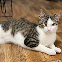 Thumbnail photo of Sticky Note #3