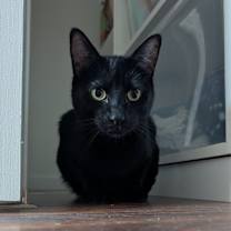 Thumbnail photo of Kevin #4