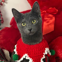 Thumbnail photo of 8/25/25 - Tibbles #1