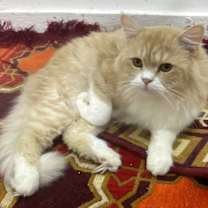 Thumbnail photo of Molly #4