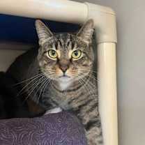 Thumbnail photo of Addie #2