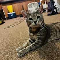 Thumbnail photo of Squish #1