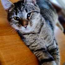 Thumbnail photo of Betty #1