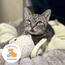 Thumbnail photo of Zippy #1