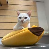 Thumbnail photo of Michita #1