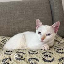 Thumbnail photo of Michita #2