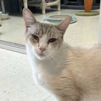 Thumbnail photo of Zephyr #4