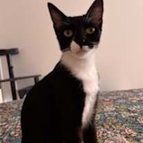 Thumbnail photo of Maggie #1