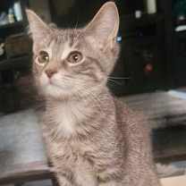 Thumbnail photo of MITZIE #2