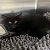 Thumbnail photo of Sal #1