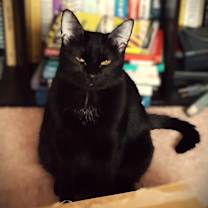 Thumbnail photo of Ellum #2