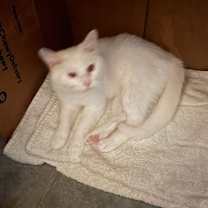 Thumbnail photo of Tiny #2