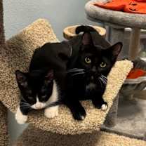 Thumbnail photo of Gertrude #4