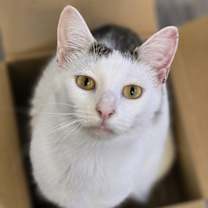 Thumbnail photo of Quest #2