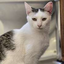 Thumbnail photo of Quest #4