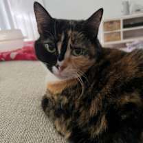 Thumbnail photo of Sketch #1