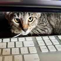 Thumbnail photo of Betty #3