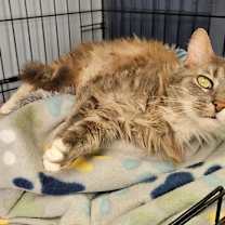 Thumbnail photo of Arie #1