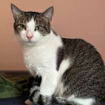 Thumbnail photo of Fergus #1