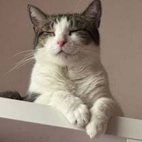 Thumbnail photo of Fergus #2