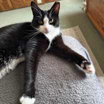 Thumbnail photo of Flora #3