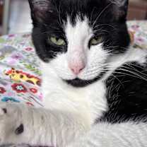 Thumbnail photo of Belle #1