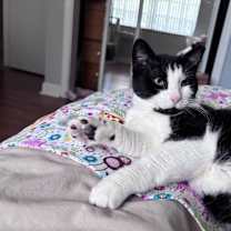 Thumbnail photo of Belle #2