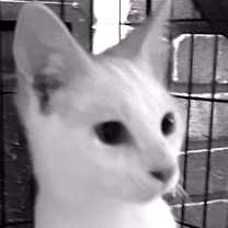 Thumbnail photo of Logic BD #3