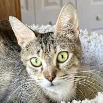 Thumbnail photo of Dorothy #1