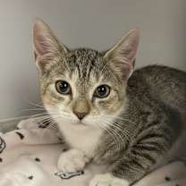 Thumbnail photo of Friendly #4