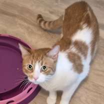 Thumbnail photo of Gilbert #2