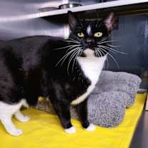 Thumbnail photo of Flora 45240 #1