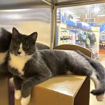 Thumbnail photo of Toast #1