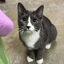 Thumbnail photo of Toast #2