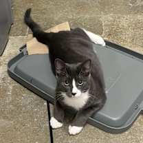 Thumbnail photo of Toast #3