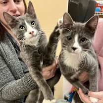 Thumbnail photo of Toast #4