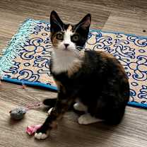 Thumbnail photo of Deb #2