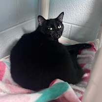 Thumbnail photo of Mamacita #3