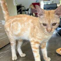 Thumbnail photo of Belle #2