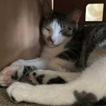 Thumbnail photo of Pudding #4