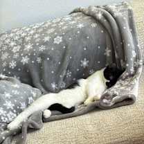 Thumbnail photo of Smudge #3