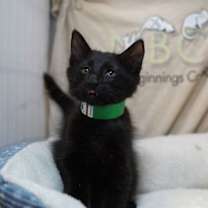 Thumbnail photo of Usher #3