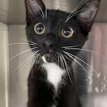 Thumbnail photo of Andy #1