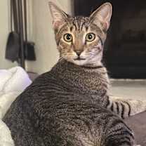 Thumbnail photo of Habanero #1